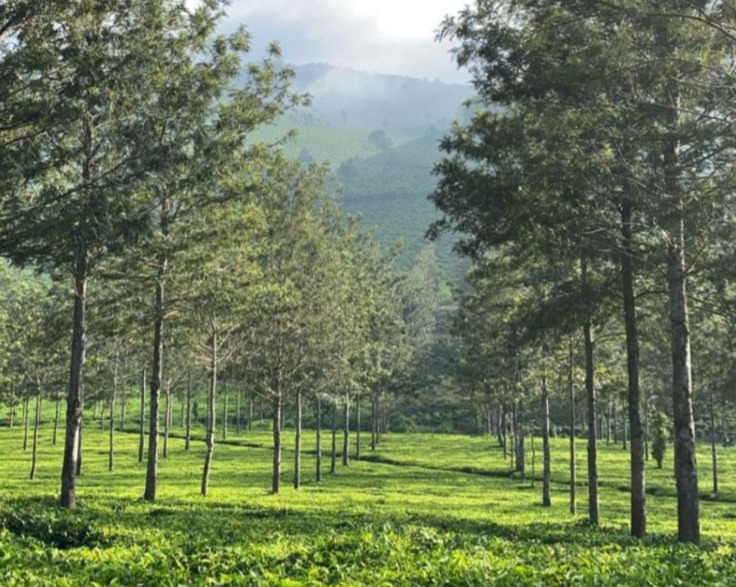 8N/9D Tamilnadu Karnataka Tour